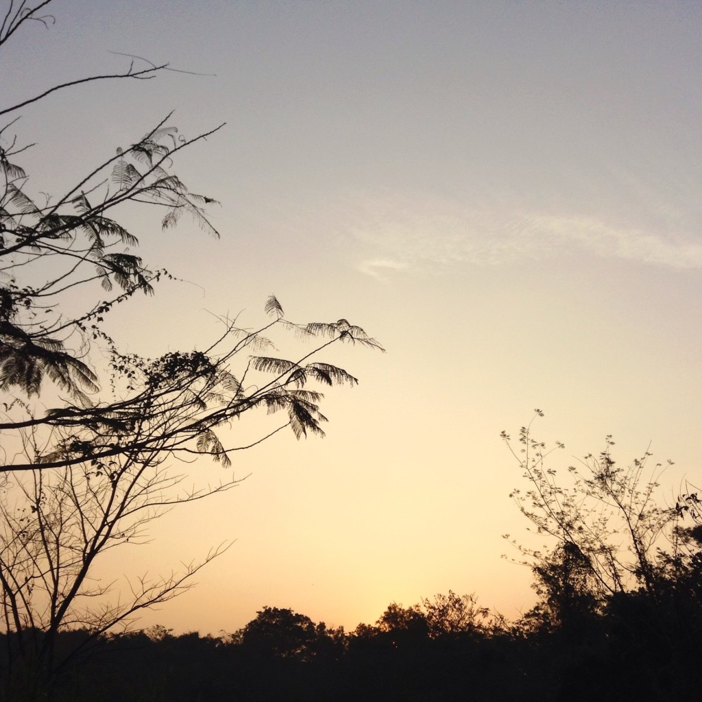 Just before the sun rises at La Mesa Nature Reserve (iPad) 