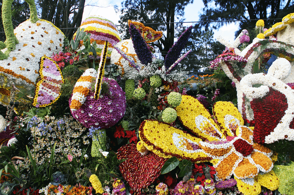 panagbenga festival flower float parade